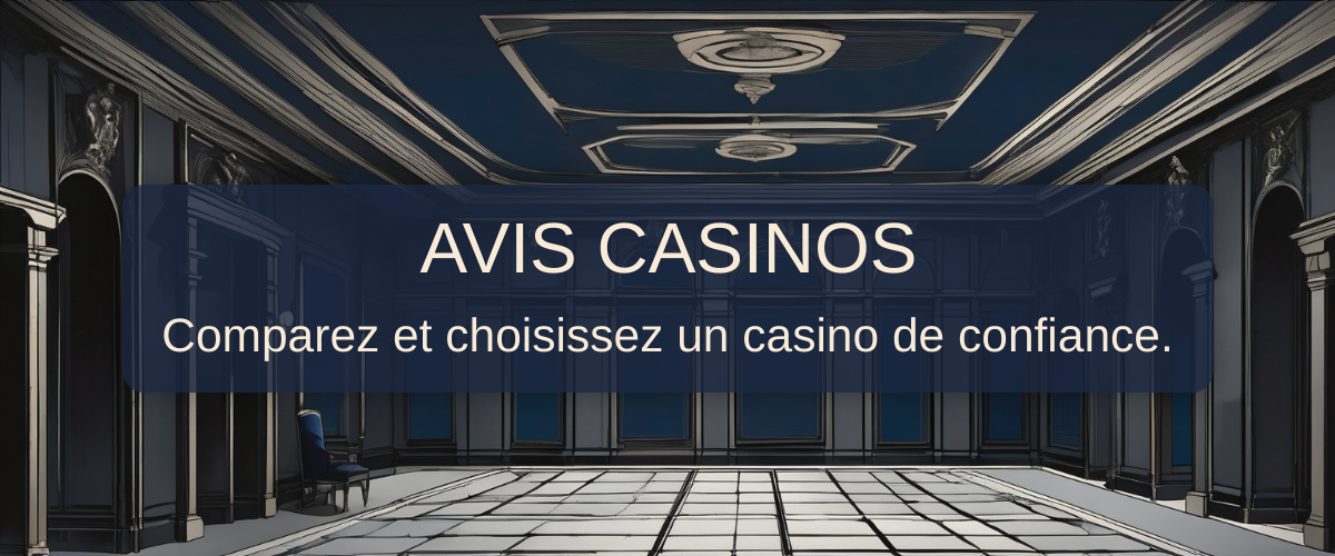 Avis de Winoui Casino : bonus de 100 % jusqu’à 500 € et avis